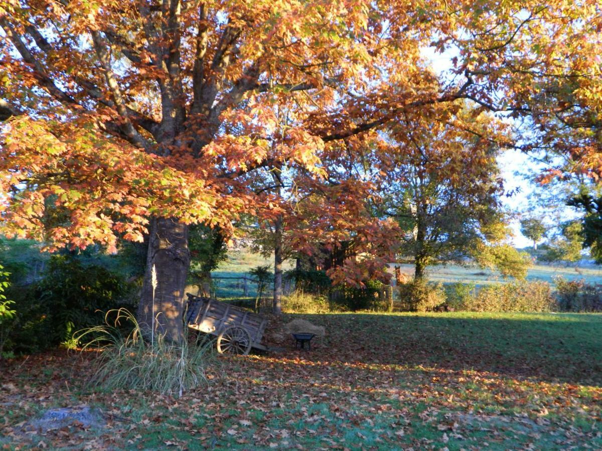 Naturaform centre de bien-être et ses chambres d'hôtes Villeneuve-de-Rivière Exterior foto